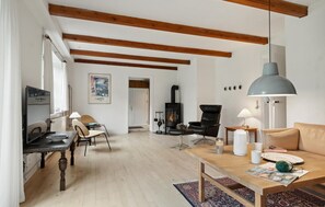 تلفزيون، مدفأة