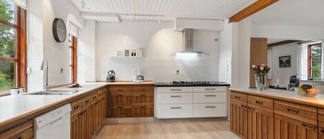 Fridge, oven, stovetop, dishwasher