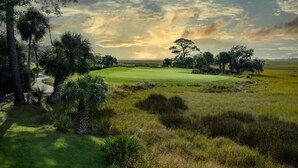 Golf - 68 Davis Love (Fripp Island)