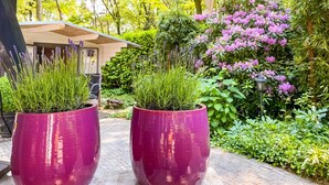 Dos macetas grandes moradas con plantas verdes en un jardín que tiene un camino y un edificio al fondo.