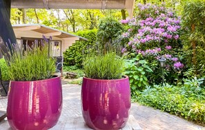 Terrein van de accommodatie