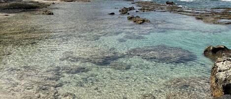 Beach nearby, sun loungers, beach towels