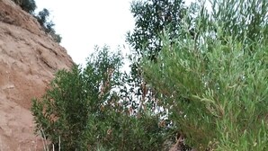 Exterior - Lodge Nueva Elqui (Paiguano)