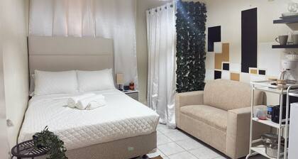 In town Studio Apartment /In historical area Pets-Friendly