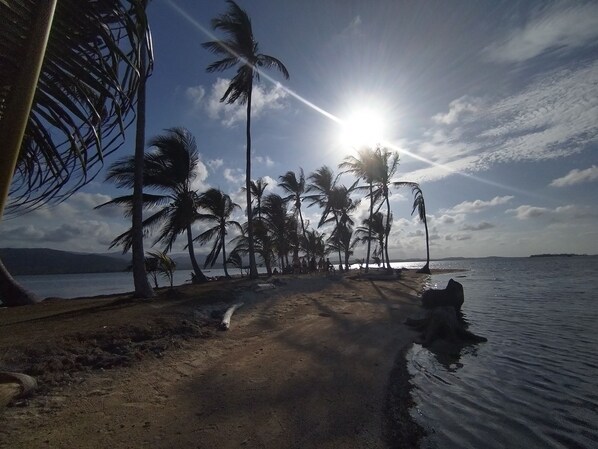Beach - Dolphin Lodge (Panama City)
