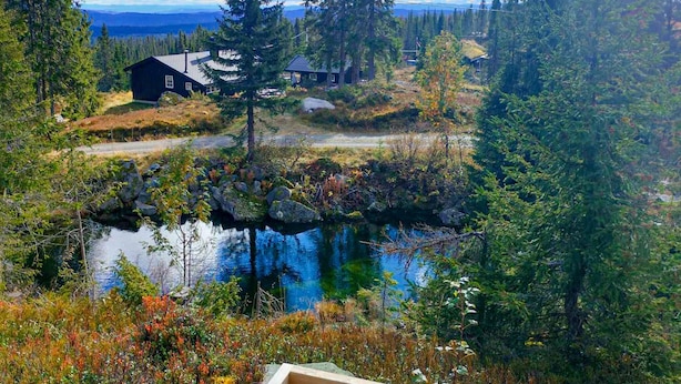 Une cabane entourée d’une forêt, avec un lac en premier plan.