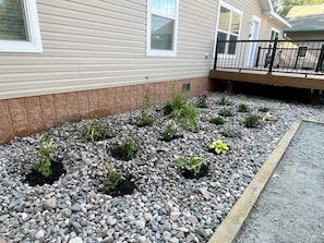 A residential property with a landscaped garden bed, a wooden deck, and a house with siding and windows.