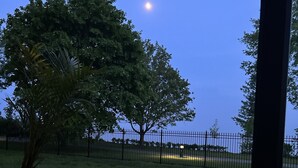 A nighttime outdoor scene with a tree, a fence, and a body of water.
