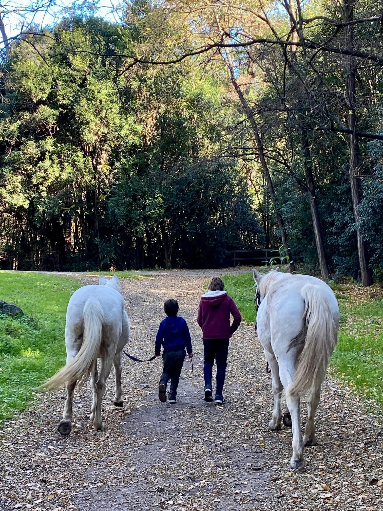 A pathway with two horses and two people walking away from the viewer.