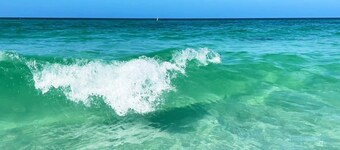 Cozy 1 bedroom 1 bathroom apartment cottage only a short distance from the beach