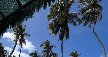 Eco Paradise - Hospedagem pé na Areia