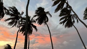 A beach with palm trees and a sunset. - Eco Paradise - Hospedagem pé na Areia (Praia de Cumbuco Caucaia)