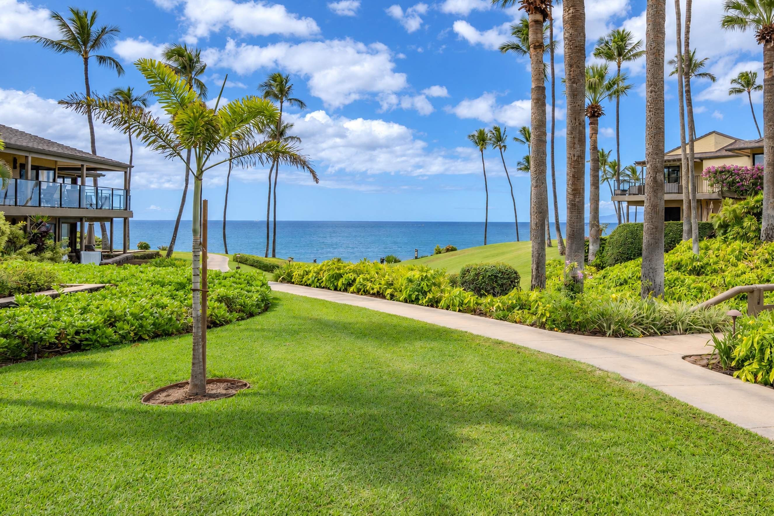 A resort with a pathway leading to the ocean, surrounded by palm trees and well-maintained lawns.