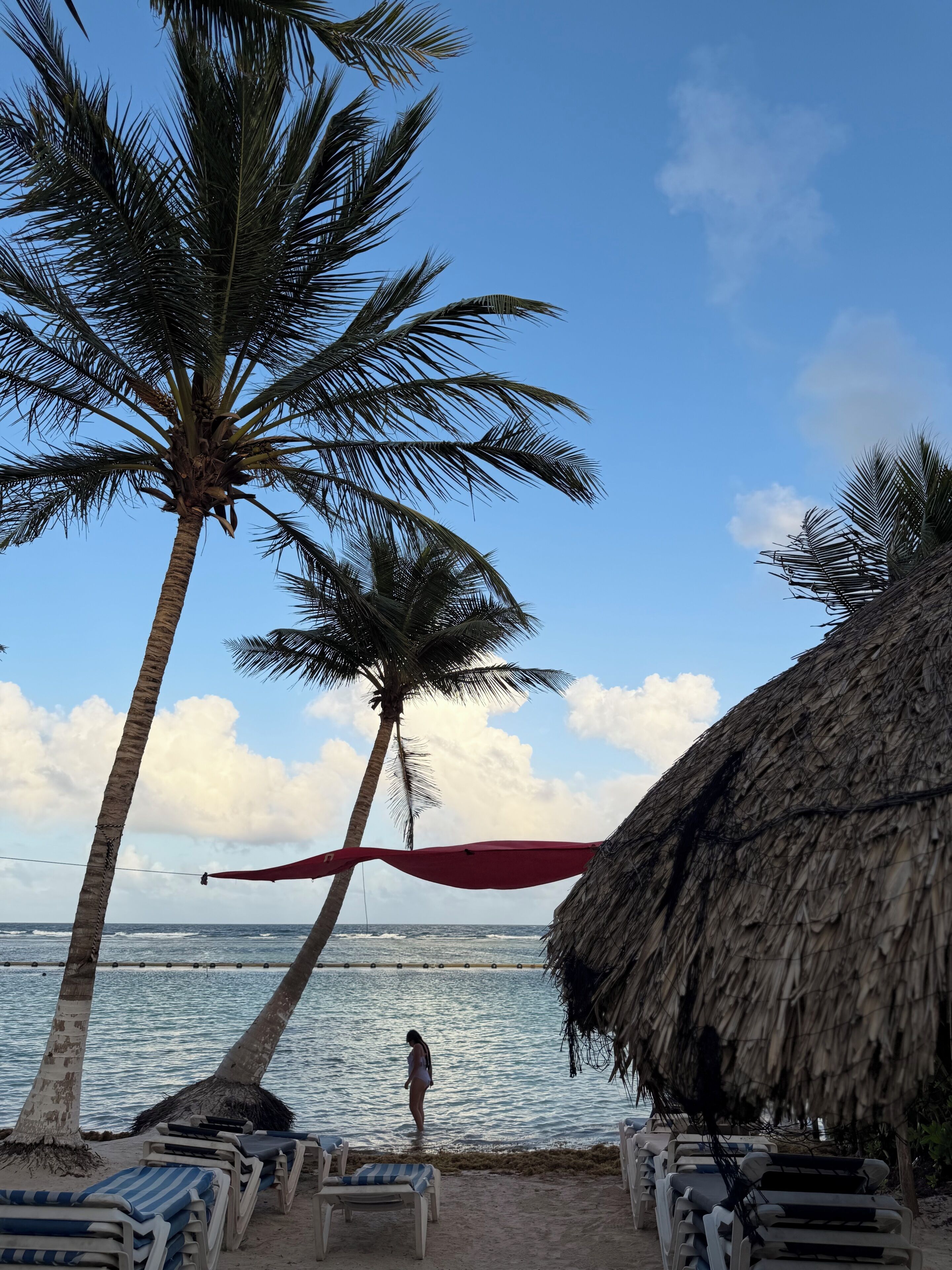 A beach with palm trees, a thatched hut, and lounge chairs.