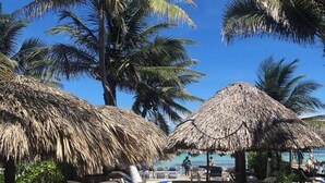 A beach with thatched umbrellas, plastic chairs, and palm trees. - Hotel El Caballo Blanco (Mahahual)