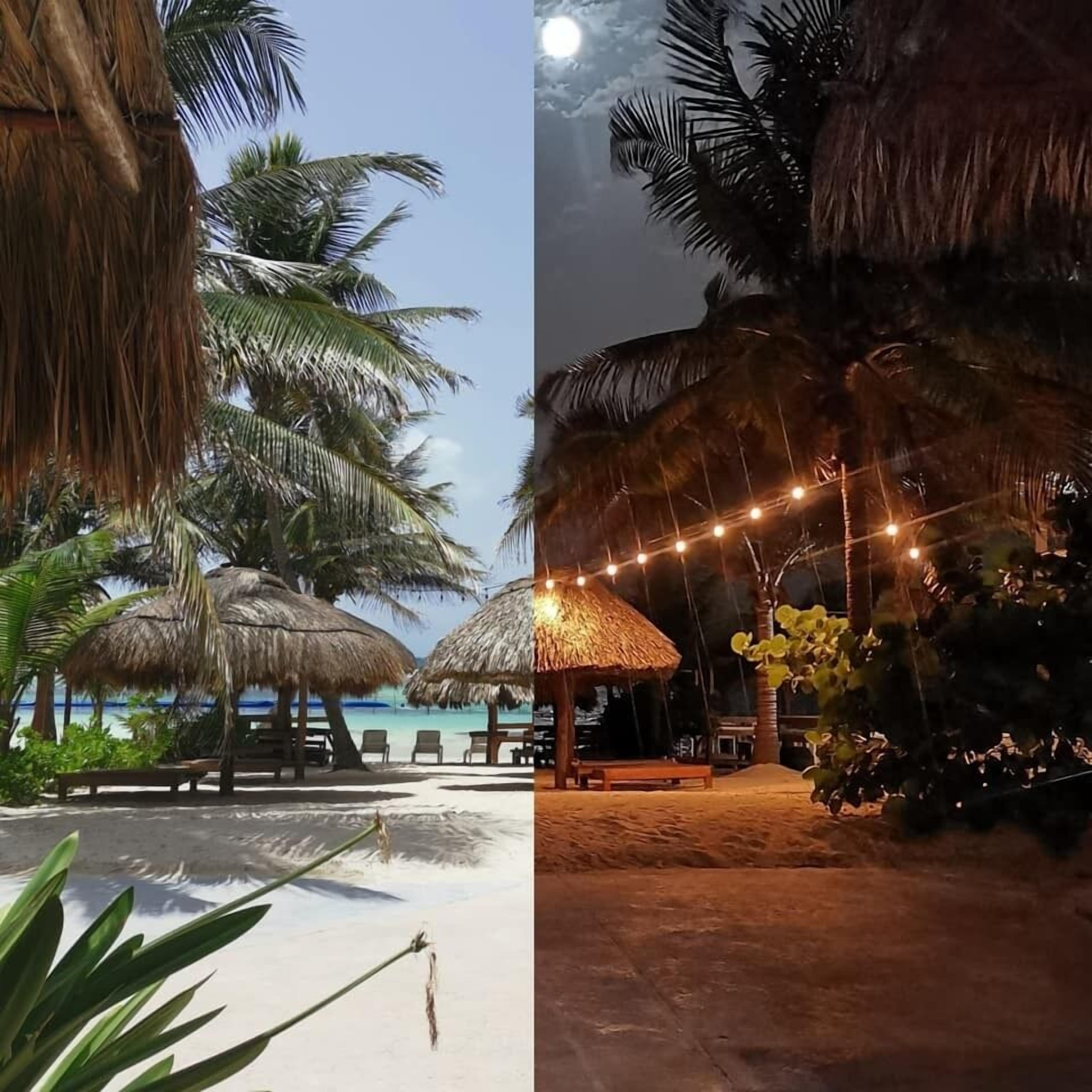 Un complejo turístico en la playa con sombrillas de paja y sillones de descanso.