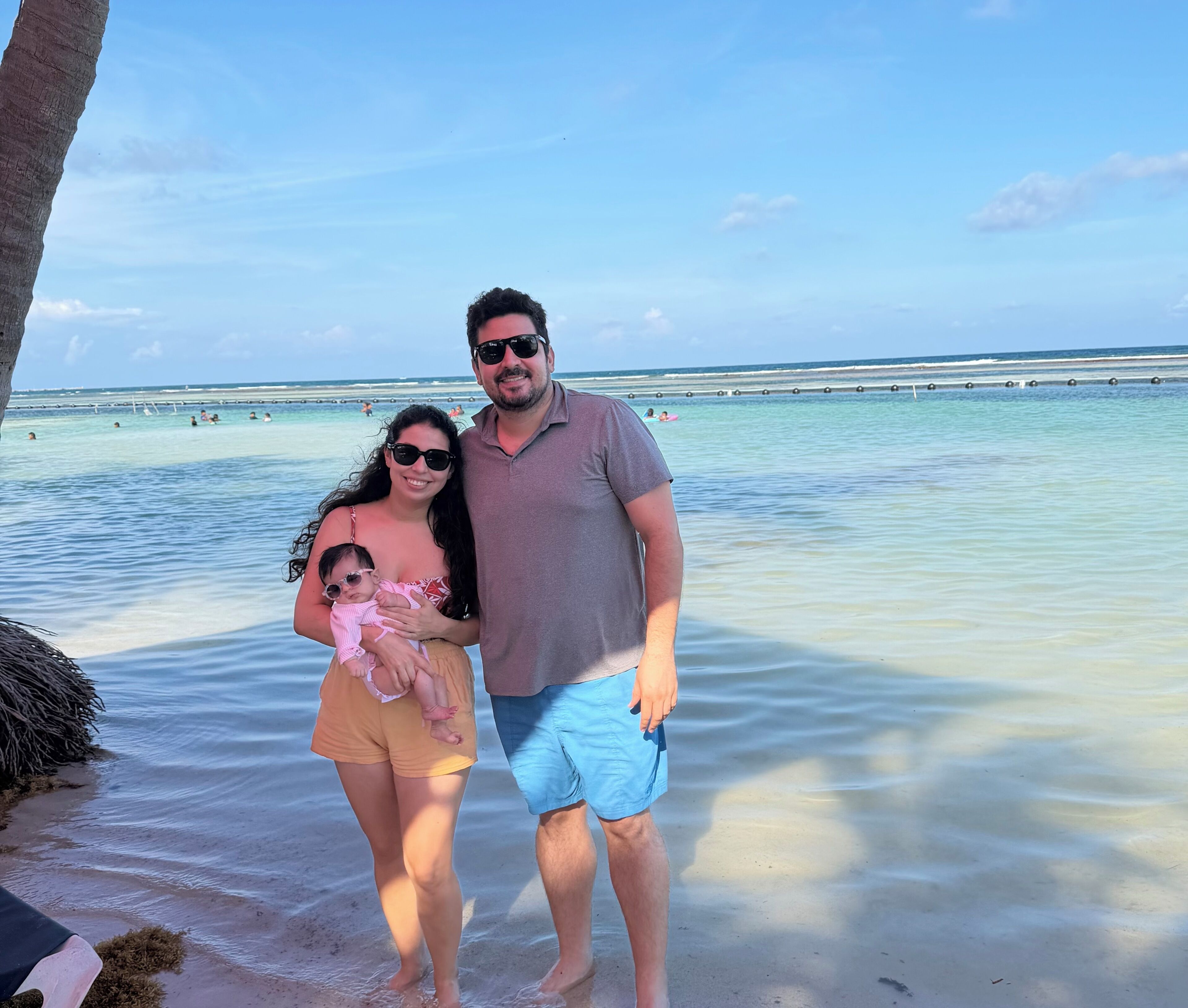 A beach scene with clear water, a palm tree, and a person holding a child.