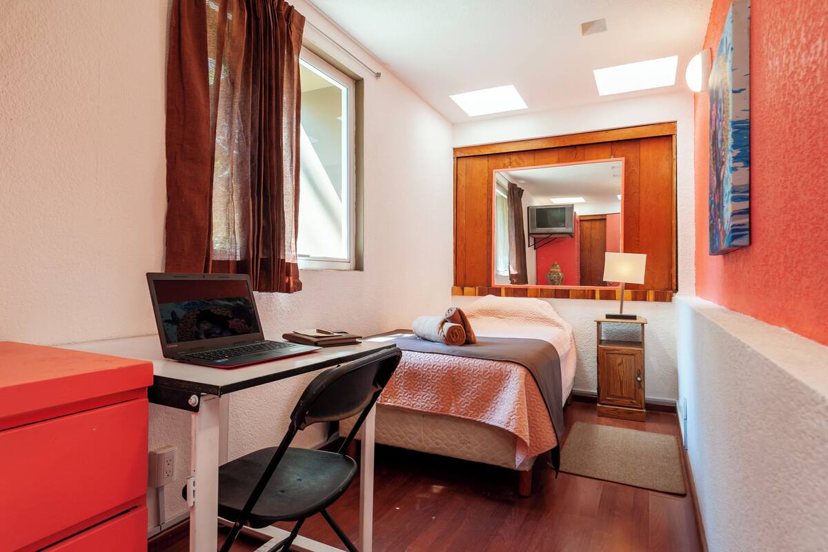 Habitación individual clásica, 1 cama individual | Escritorio, tabla de planchar con plancha, wifi gratis