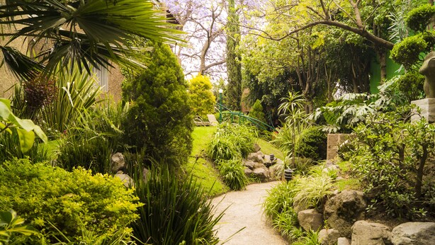 A garden pathway with various plants and a bench. - Garden House Welcome to San Ángel (Mexico City)