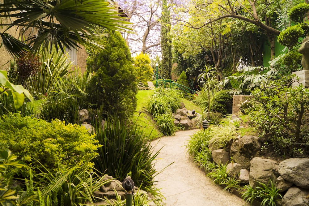 Garden House Welcome to San Ángel