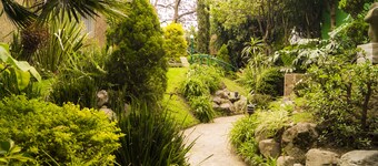 Garden House Welcome to San Ángel