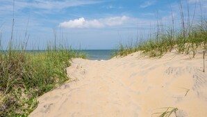 A sandy beach path leading to the ocean with tall grass on either side. - Carolina Ocean Views: Dog Friendly, Ocean Views (Kill Devil Hills)