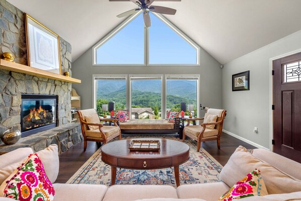 TV, fireplace, DVD player, books