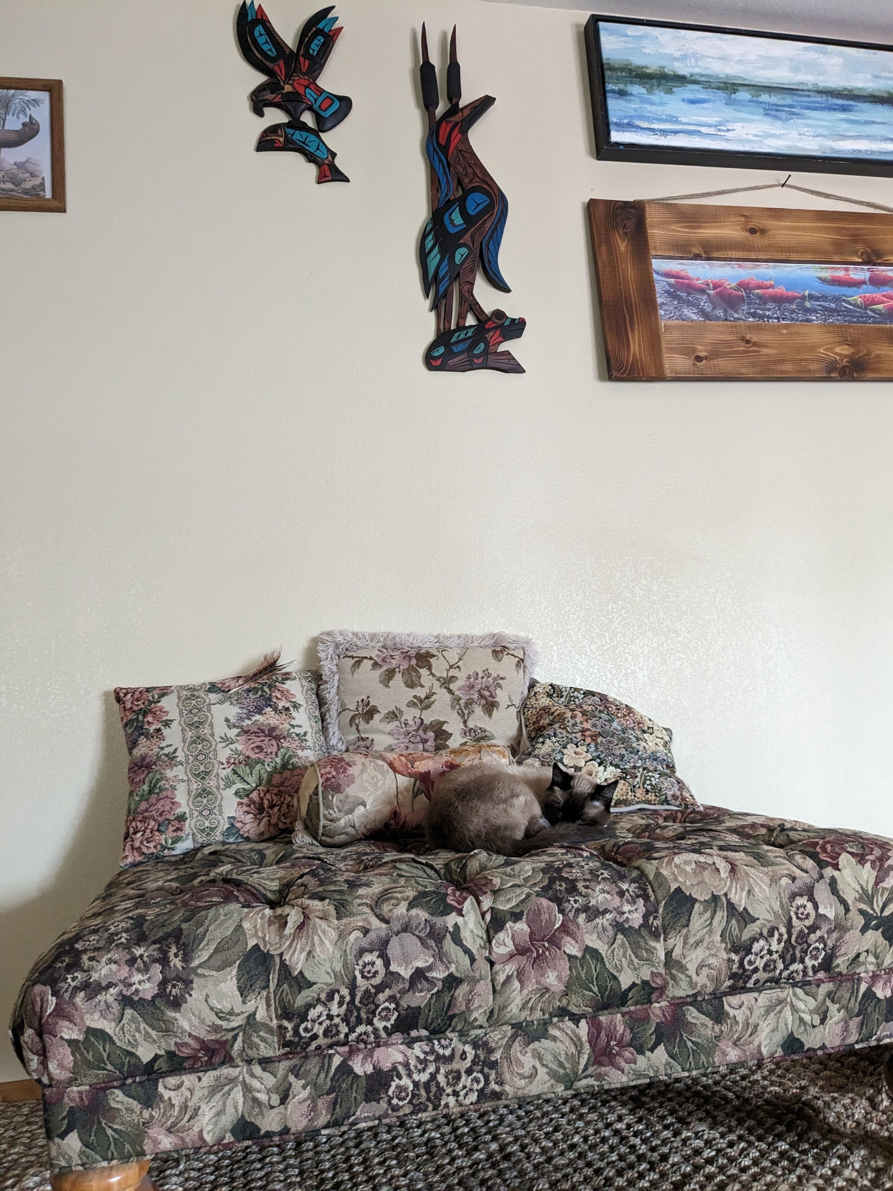 Cat friendly, wheelchair friendly, nature friendly