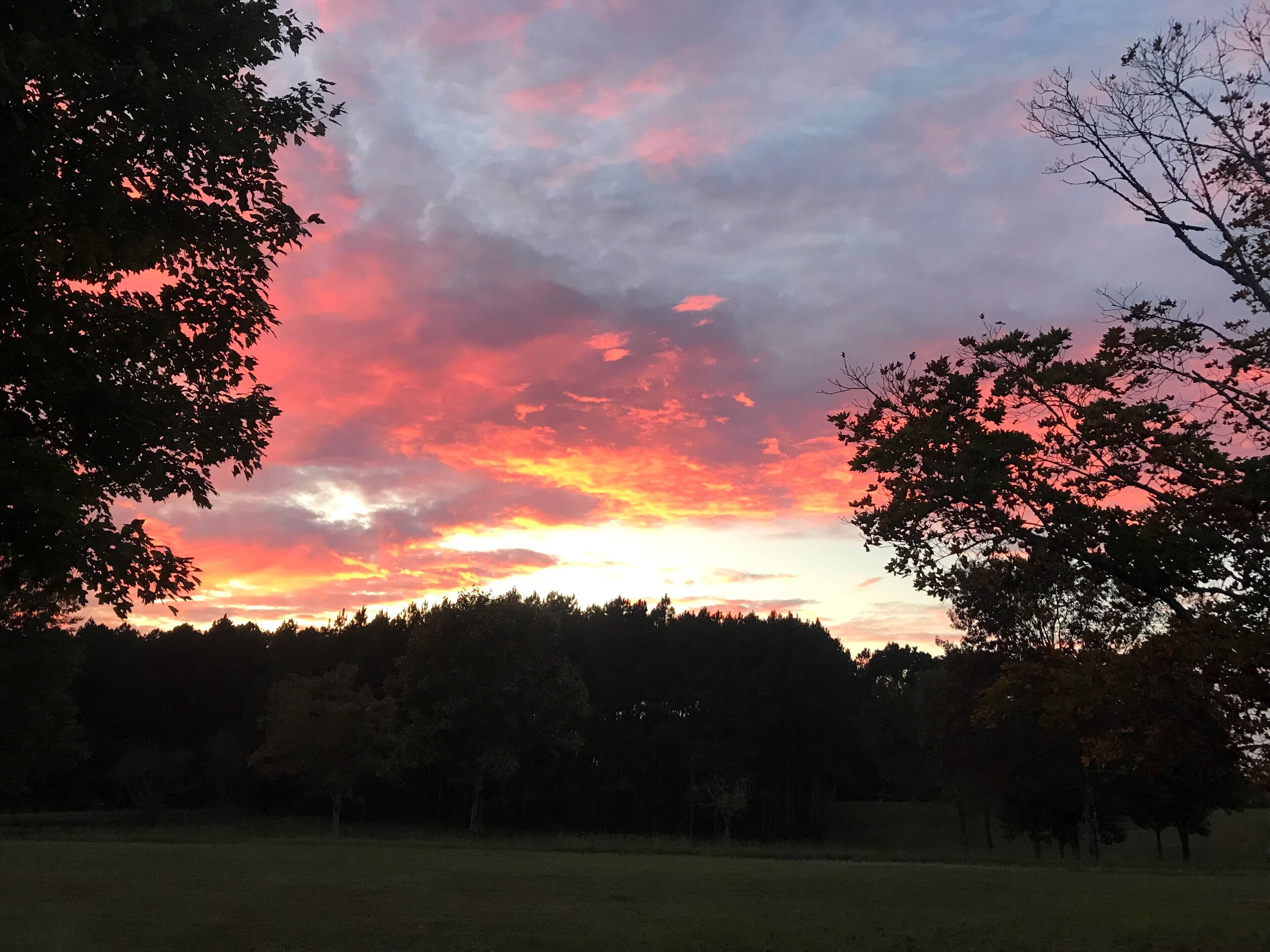 Un coucher de soleil avec un ciel aux teintes roses et orangées, des arbres se détachant en silhouette et un champ verdoyant.