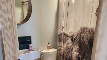 Une salle de bain comprenant des toilettes, un lavabo avec un miroir, un rideau de douche à motifs floraux et des carreaux de sol décorés.