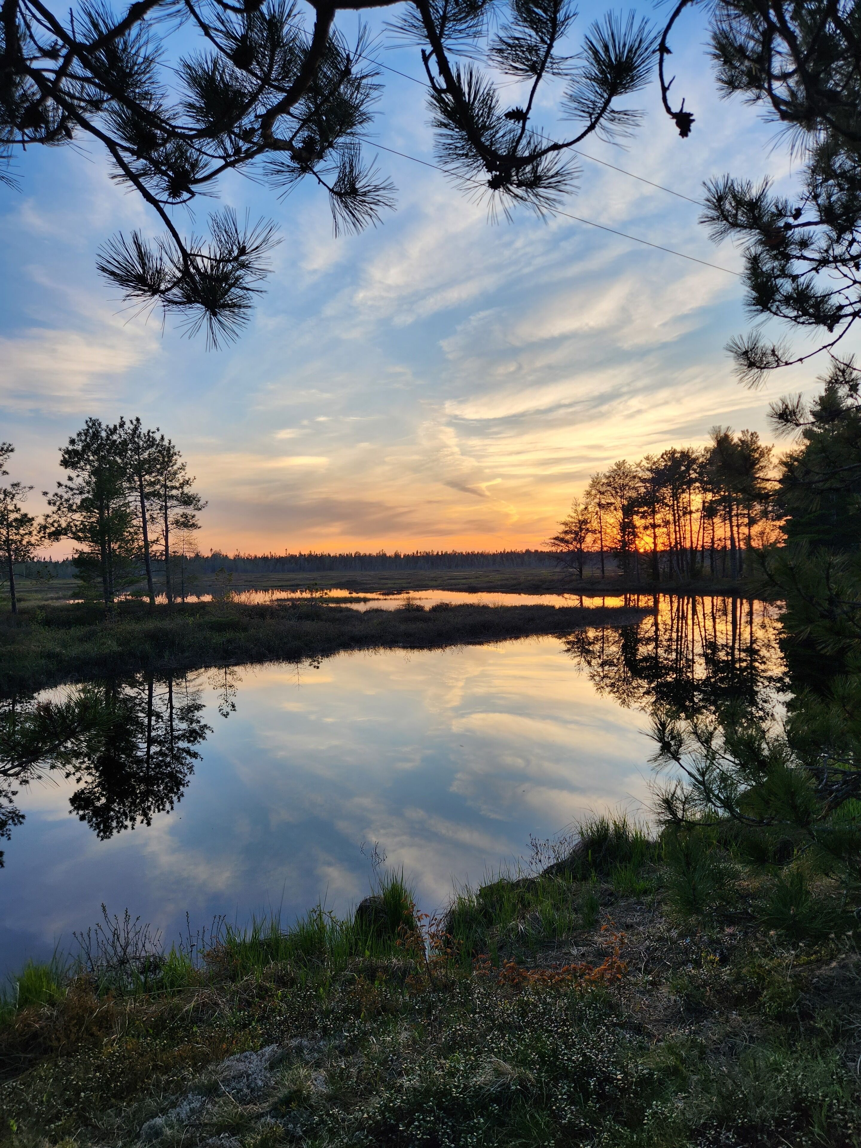A serene lakeside scene with trees reflecting the sunset.