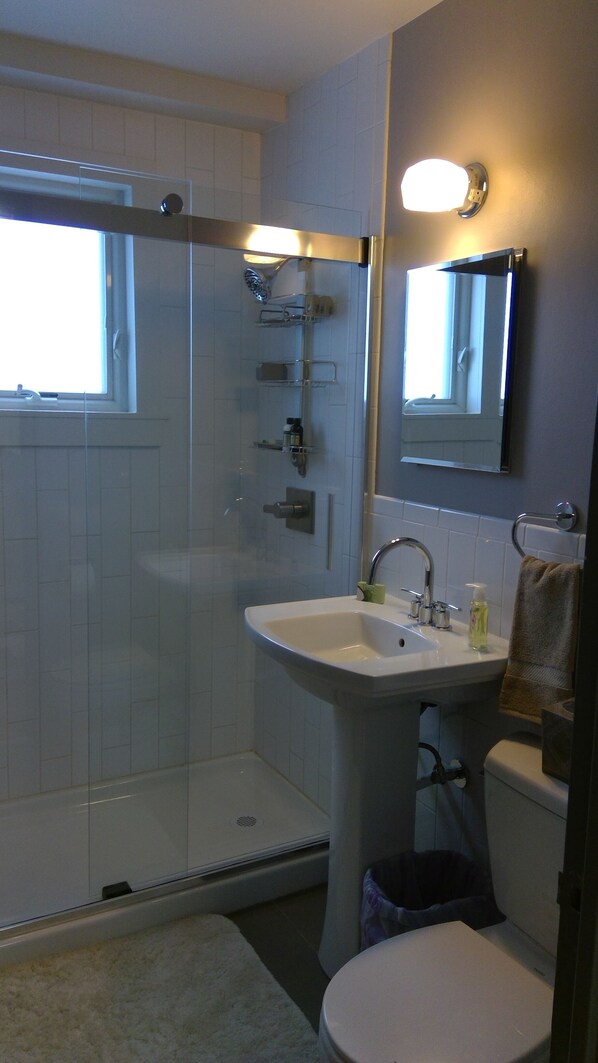 Shower, towels, soap, toilet paper - Downtown Anchorage studio condo (Anchorage)