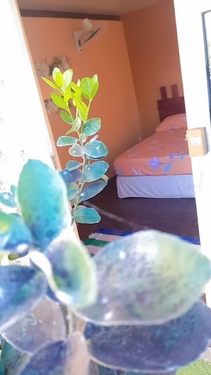 3 habitaciones y ropa de cama de alta calidad