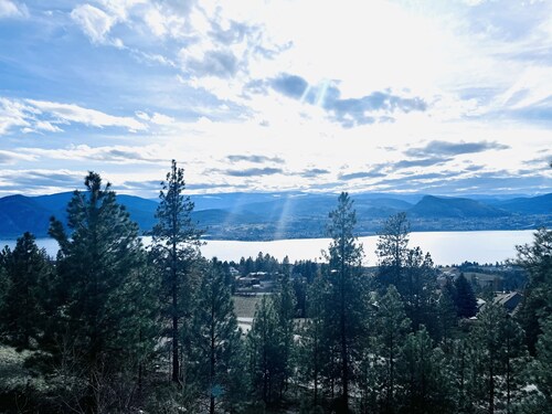 Modern Lake View Basement Suite.