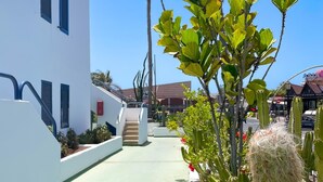 Un patio con una escalera que lleva a un edificio, rodeado de cactus y palmeras.