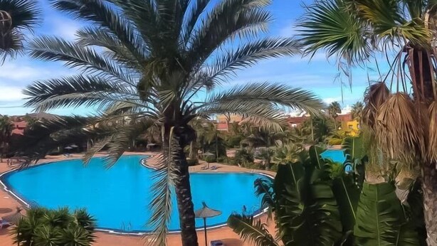 Piscina rodeada por palmeiras e um céu azul límpido.