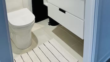 Shower, towels, toilet paper