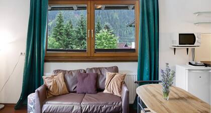 Apartment "Sonnberg" at Molltaler Appartements with Mountain View, Balcony & Wi-Fi