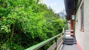A staircase leading to a building with a green railing, surrounded by dense greenery.
