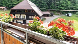 Un balcon en bois orné de jardinières, un bâtiment doté d’un toit en pente et un paysage boisé en arrière-plan.