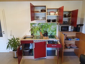 Frigorífico, microondas, horno y placa de cocina