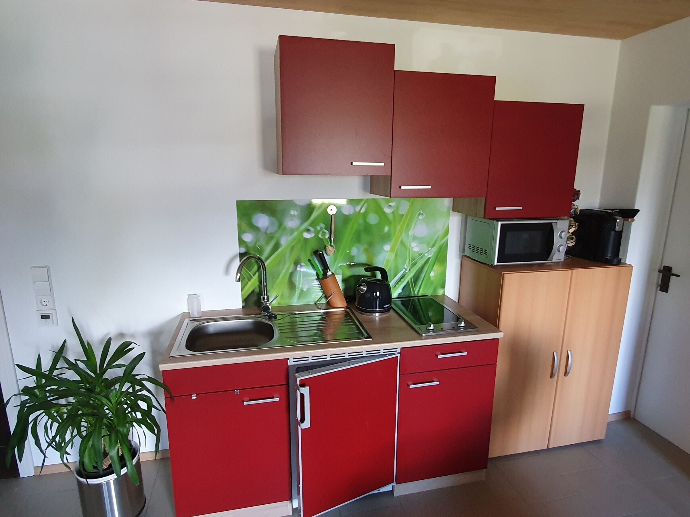 Eine kleine Küche mit Spüle, Wasserkocher und Mikrowelle auf einem Holzschrank.