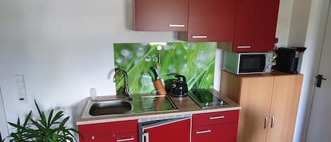 Eine kleine Küche mit Spüle, Wasserkocher und Mikrowelle auf einem Holzschrank.