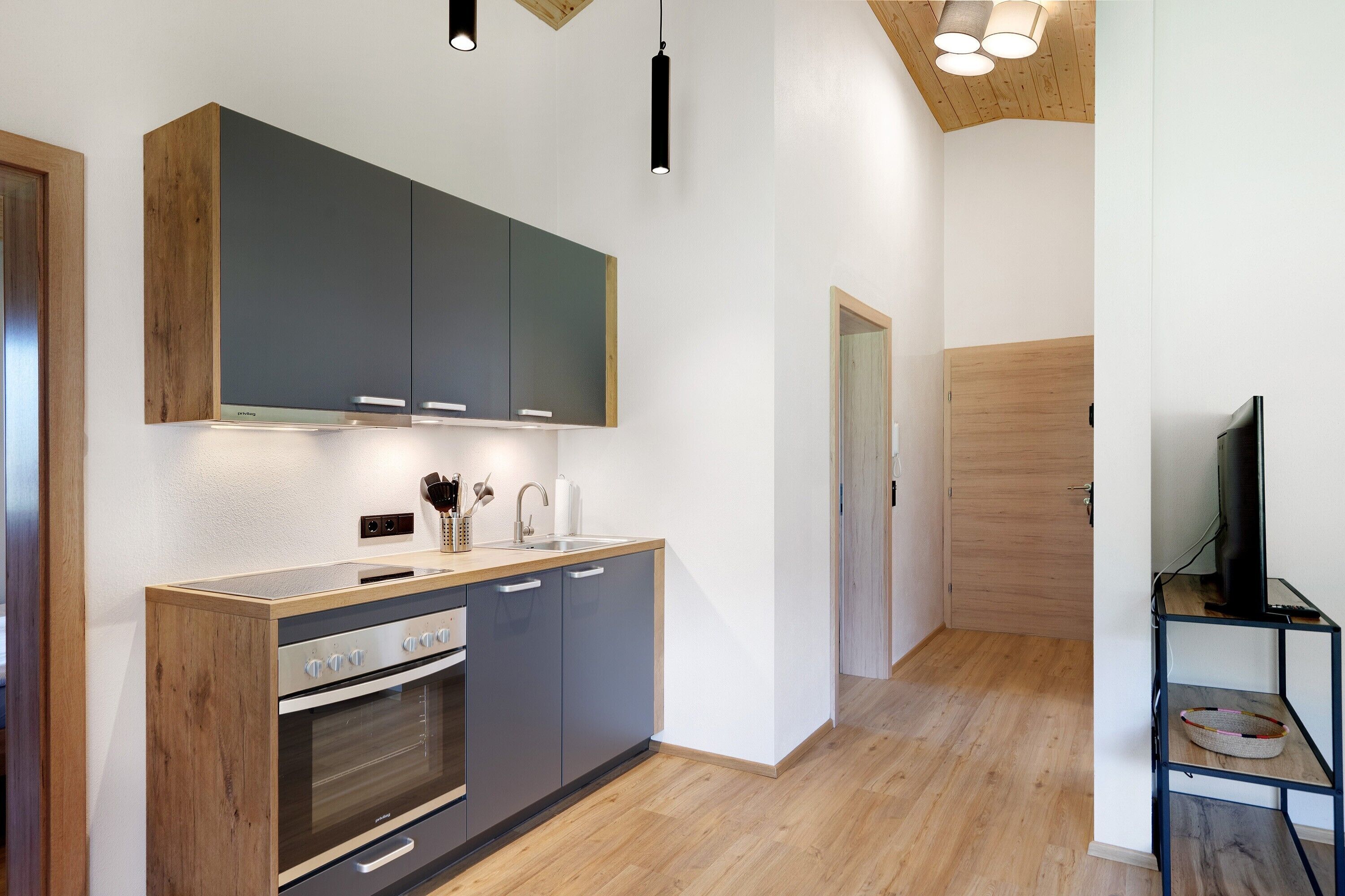 Kühlschrank, Ofen, Herdplatte, Geschirrspüler