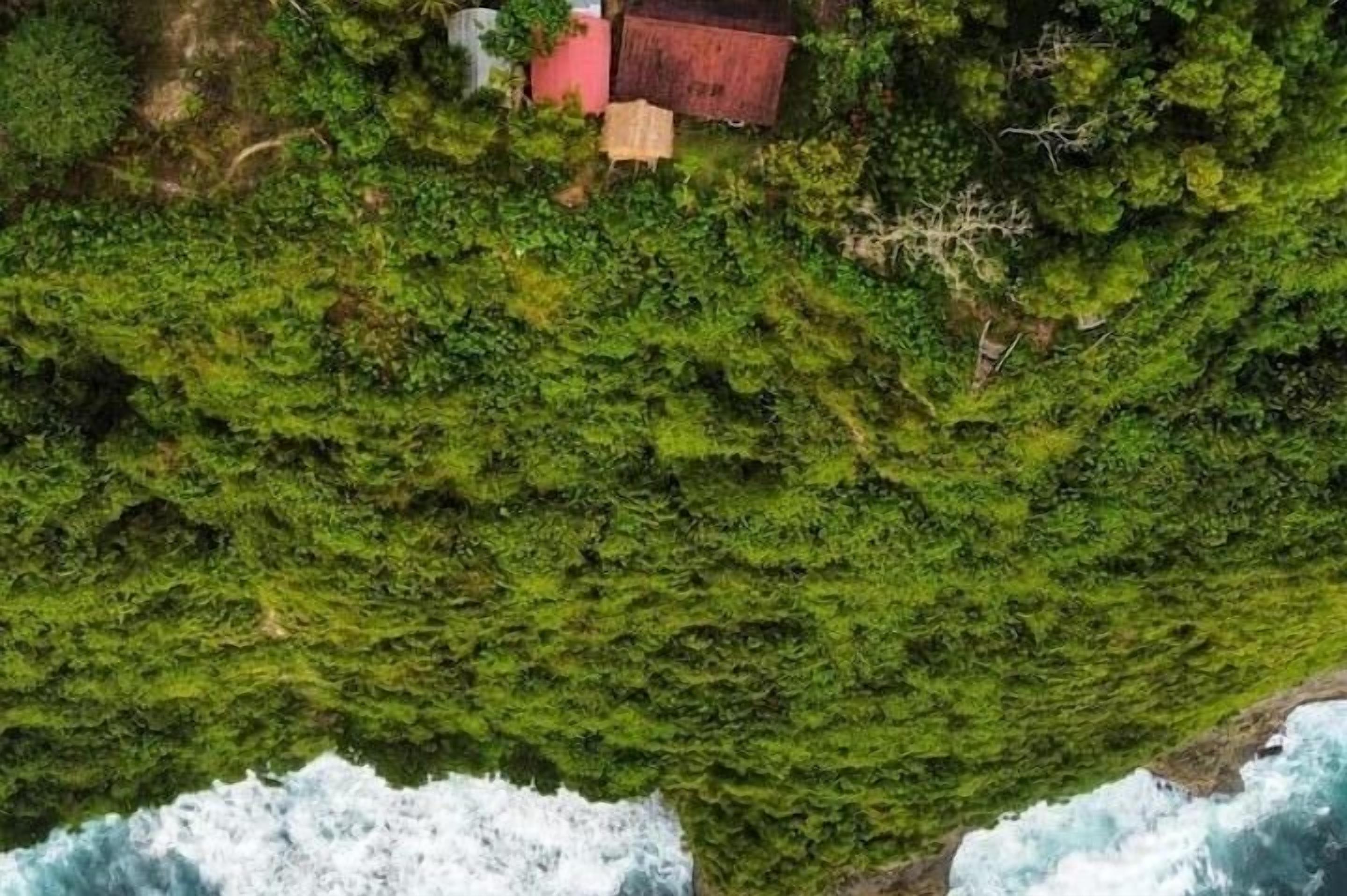 Eine Küstenlandschaft mit üppiger grüner Vegetation und einem kleinen roten Gebäude.