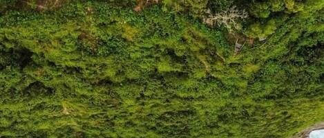 Eine Küstenlandschaft mit üppiger grüner Vegetation und einem kleinen roten Gebäude.
