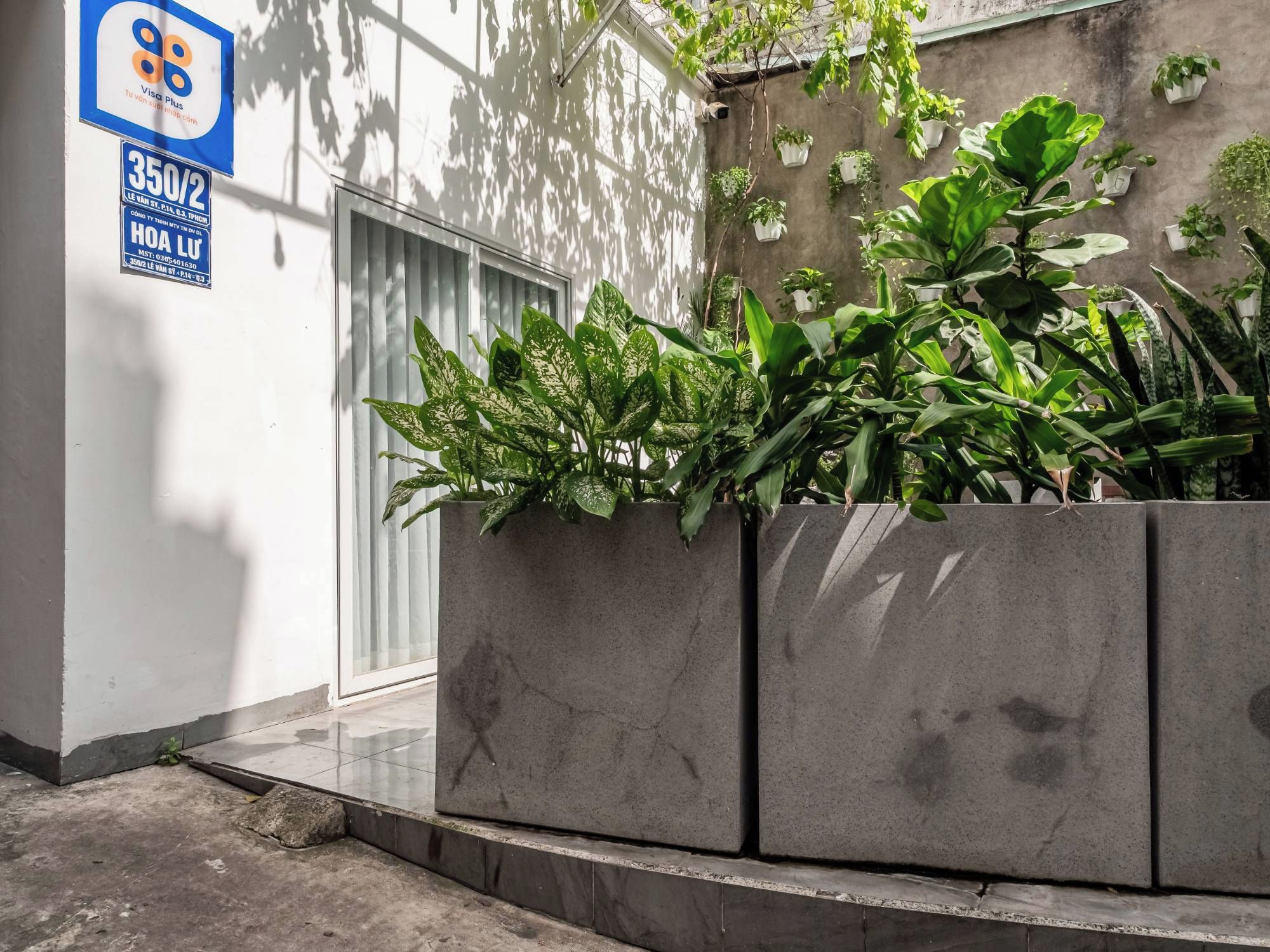 Un bac à fleurs en béton contenant diverses plantes vertes, un panneau « Visa Plus » et une porte avec une fenêtre.
