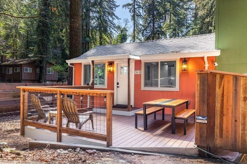 Mount Hermon Redwood Retreat!