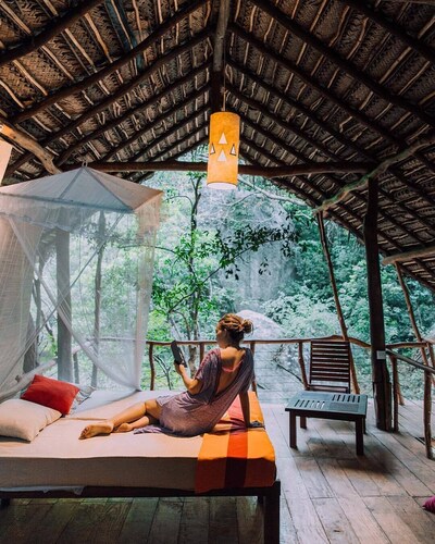 Magical Tree House in Jungle next to Pidurangala