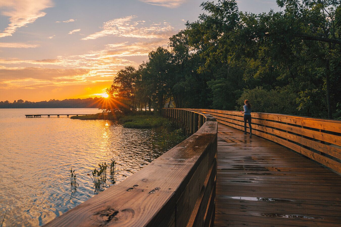 A wooden boardwalk by a lake at sunset.